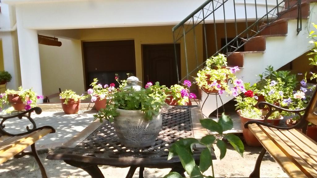 Natalia'S Apartments นิกิติ ภายนอก รูปภาพ